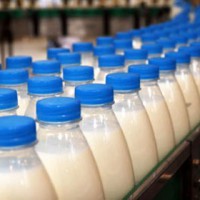 Действующий молочный завод, прибыльный, существует с 2000 года