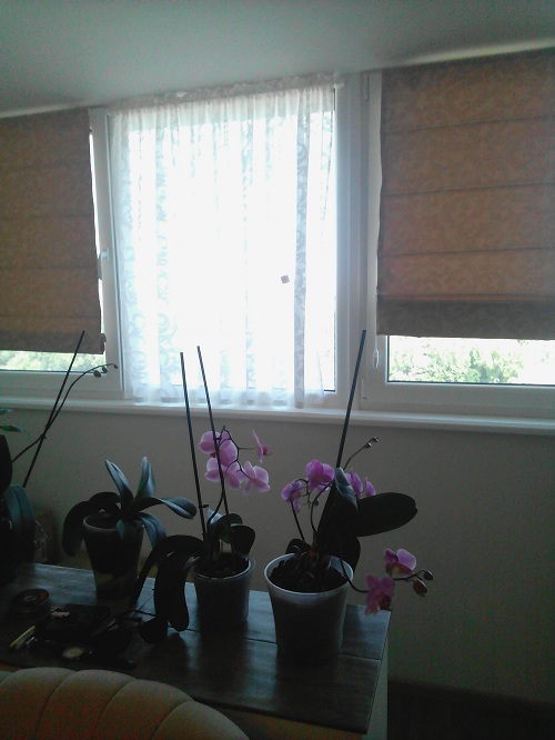 Фото 4. 2-комнатная квартира (пентхаус) в ЖК Левитана на Таирова