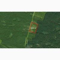 Продам земельну ділянку в Грузьке 6, 26 га під забудову
