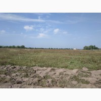 Продам землю сільськогосподарського призначення (32 км від Києва)