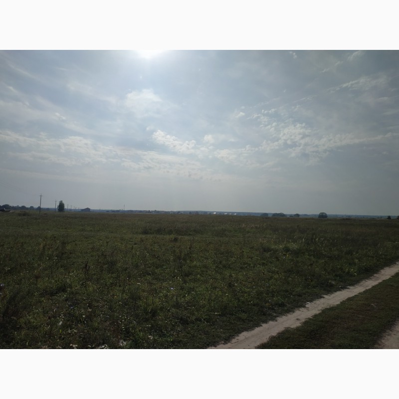 Фото 4. Продам землю сільськогосподарського призначення (32 км від Києва)