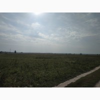 Продам землю сільськогосподарського призначення (32 км від Києва)