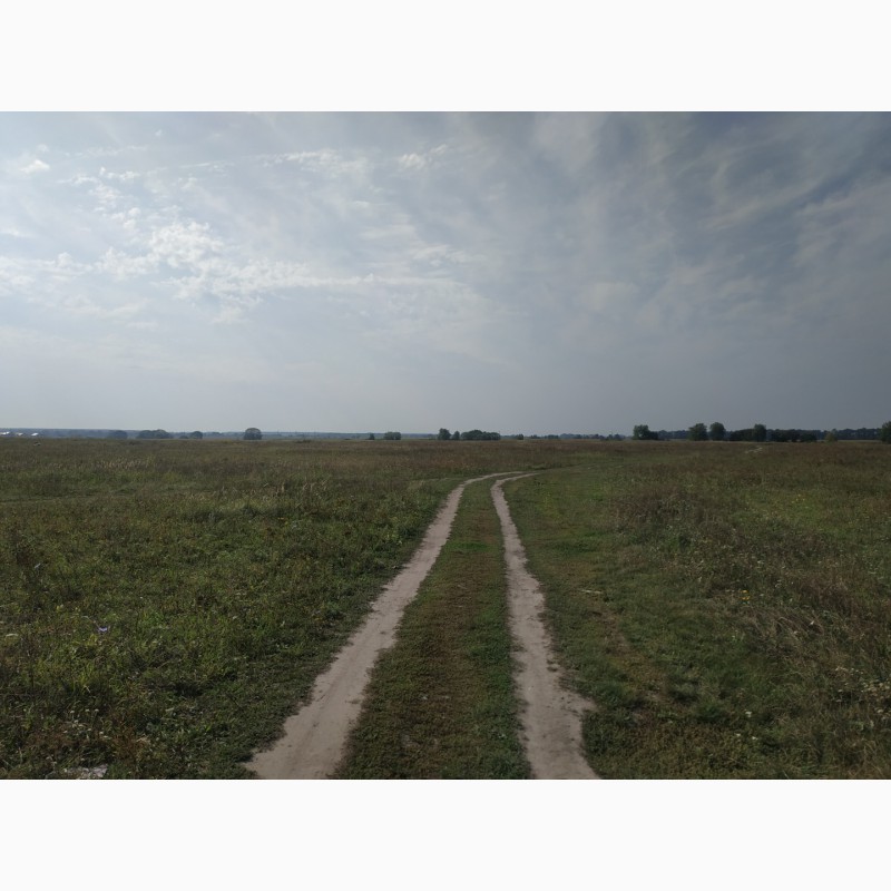 Фото 5. Продам землю сільськогосподарського призначення (32 км від Києва)