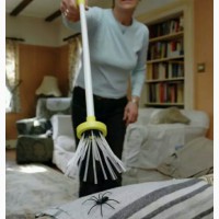 Ловушка для отлова пауков, и других ползающих насекомых