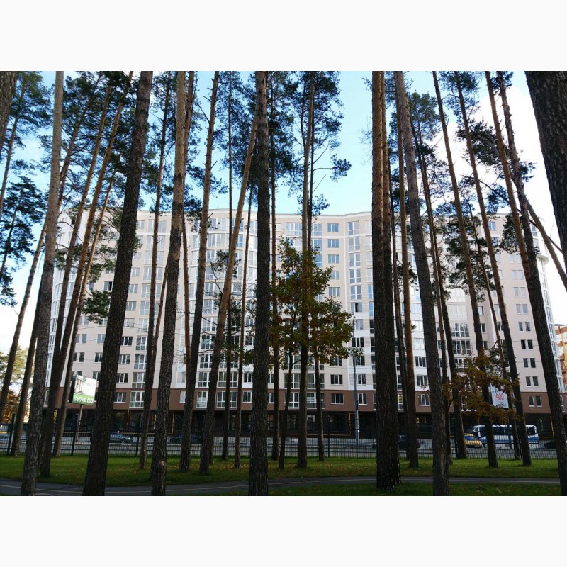 Фото 5. Двухкомнатная квартира с видом на парк в ЖК Сяйво
