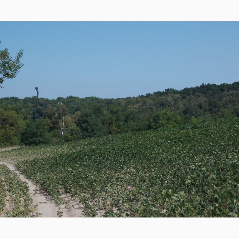 Фото 3. Продам земельный участок 80 соток с панорамным видом на Днепр