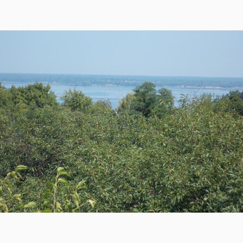 Фото 5. Продам земельный участок 80 соток с панорамным видом на Днепр