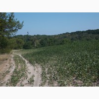 Продам земельный участок 80 соток с панорамным видом на Днепр