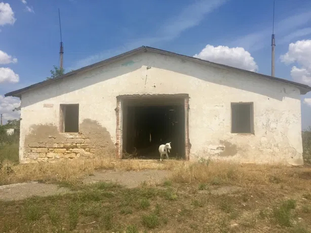 Фото 2. Продам здание бывшей животноводческой фермы Беляевка