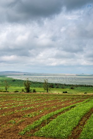 Фото 4. Продается фермерское хозяйство 10000 м.кв, Дебальцево