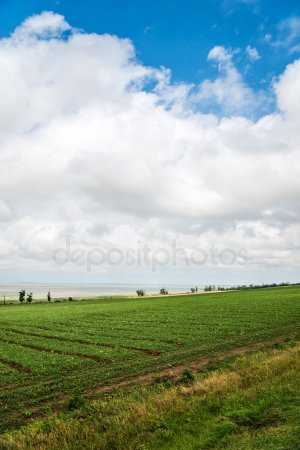 Фото 5. Продается фермерское хозяйство 10000 м.кв, Дебальцево