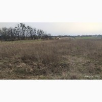 Продаж ділянки під забудову (41 сотка) в селі Колонщина (32 км від Києва)