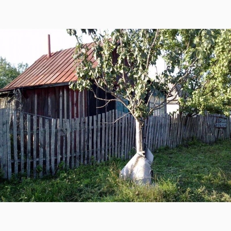 Фото 2. Участок земли с домиками Салтов-Рубежное обмен на авто