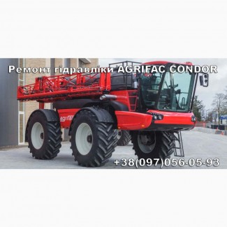 Ремонт гидронасоса Agrifac