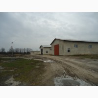 Продам ферму для разведения КРС в Житомирской обл
