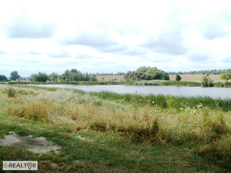 Фото 7. 15 соток возле озера в с. Михайловка-Рубежовка