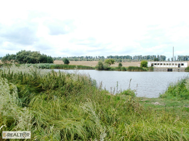Фото 11. 15 соток возле озера в с. Михайловка-Рубежовка