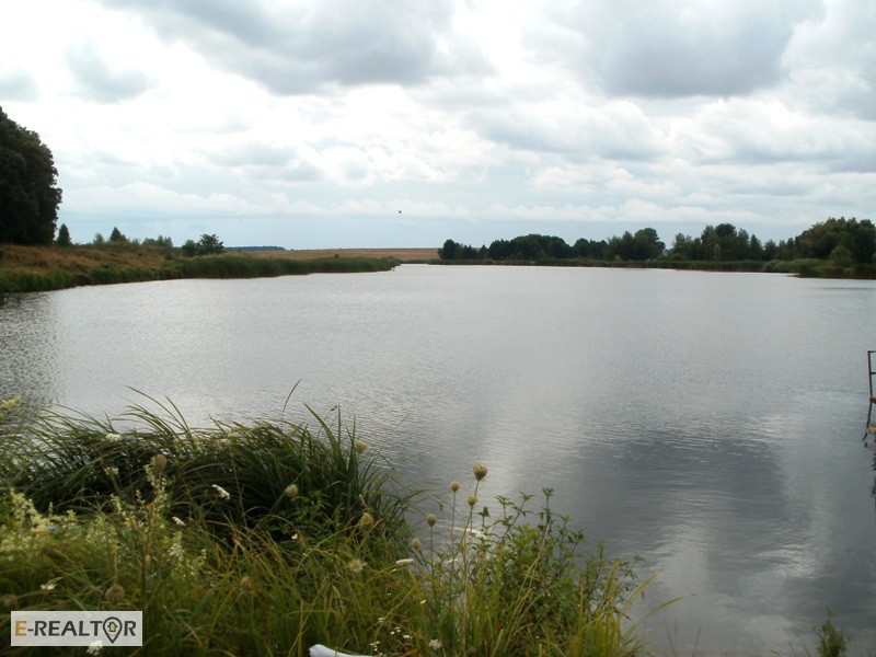 Фото 12. 15 соток возле озера в с. Михайловка-Рубежовка