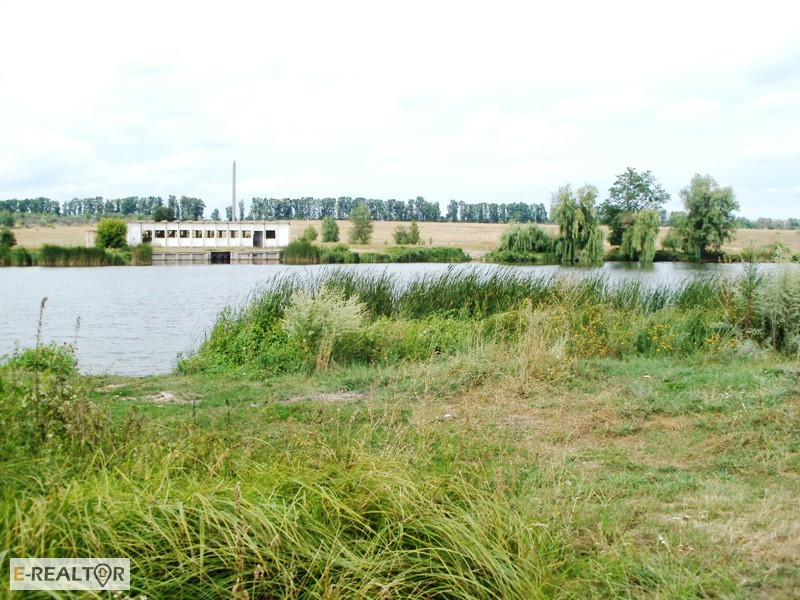 Фото 4. 15 соток возле озера в с. Михайловка-Рубежовка