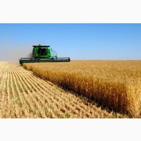 Продам зерновой комплекс в Одесской обл элеватор 13000 т. 2 га