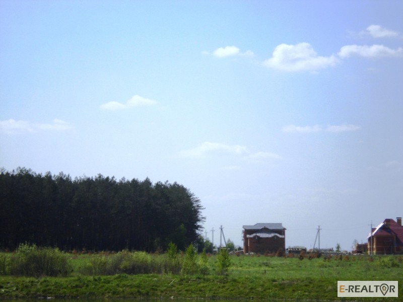 Фото 12. 11 га под строительство, Березовка, Киев 17 км, возле леса