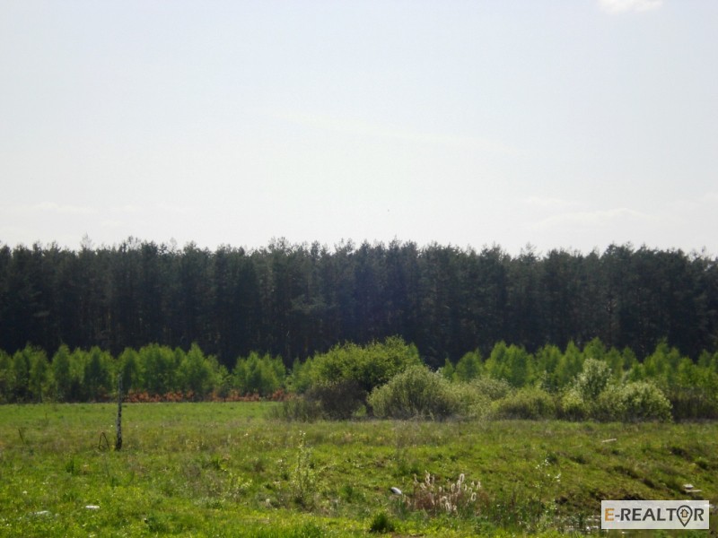 Фото 14. 11 га под строительство, Березовка, Киев 17 км, возле леса