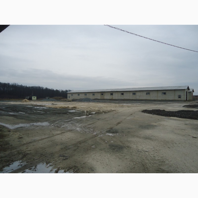 Фото 3. Продается земля 8 га промышленного назначения в Житомирской области