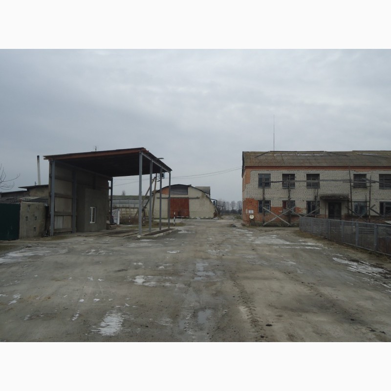 Фото 4. Продается земля 8 га промышленного назначения в Житомирской области