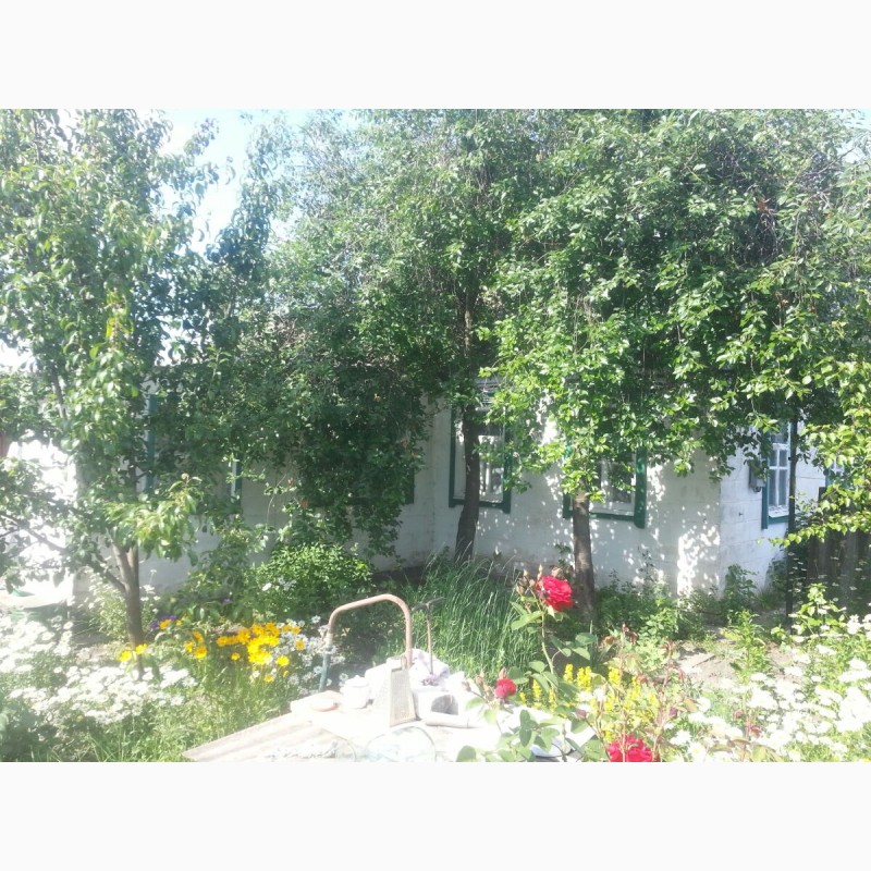Фото 3. Продам дом в с.Лиман (Харьковская область, Змиевской район)