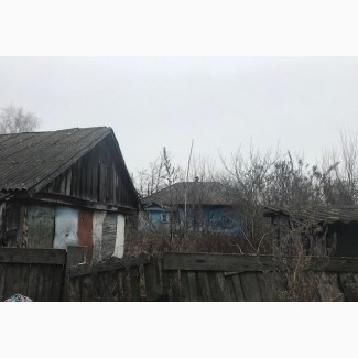 Продам участок с домиком, 70 км от Киева, перед березовой рощей