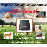 Антипаразитарная программа для домашних животных в устройстве Life Animal. АКЦИЯ: кешбэк