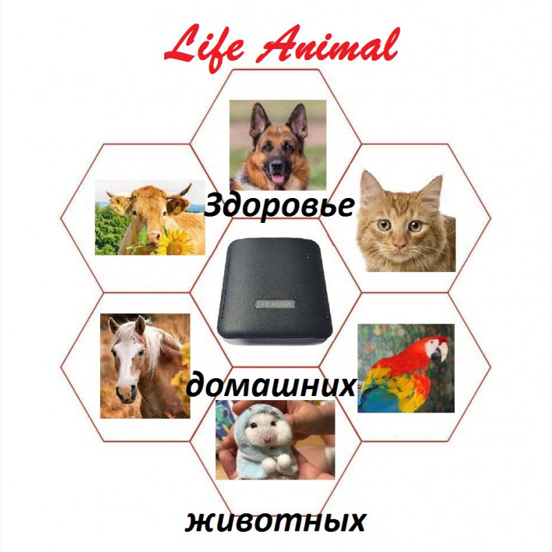 Фото 5. Антипаразитарная программа для домашних животных в устройстве Life Animal. АКЦИЯ: кешбэк